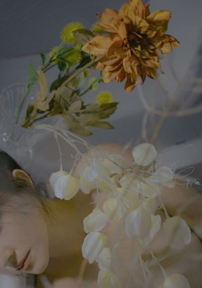 欲望女郎